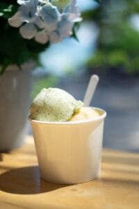 Helado artesanal en un día de sol: la primavera y la pretemporada de la heladería